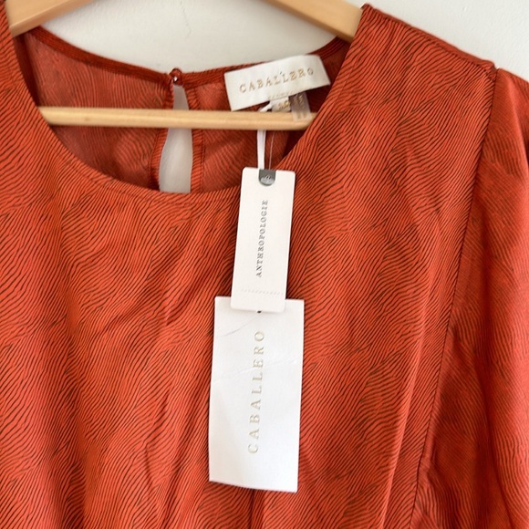 New With Tags Anthropologie Caballero Long-Sleeve Satin Animal Print Mini Dress - Picture 6 of 8